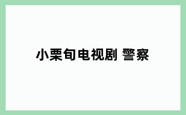 小栗旬电视剧 警察